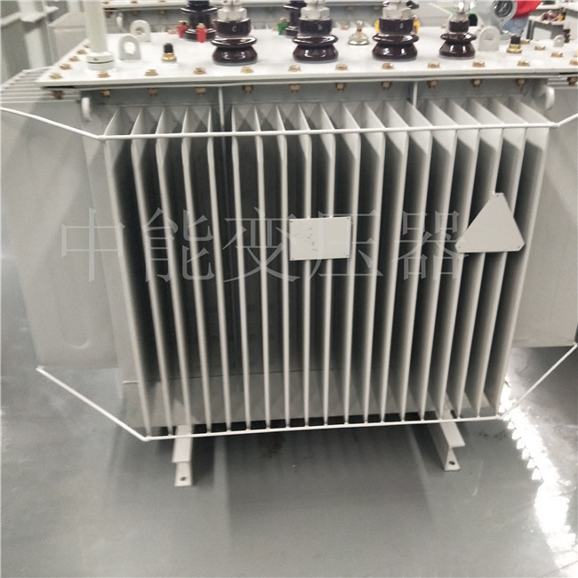 黄石S20-800KVA变压器