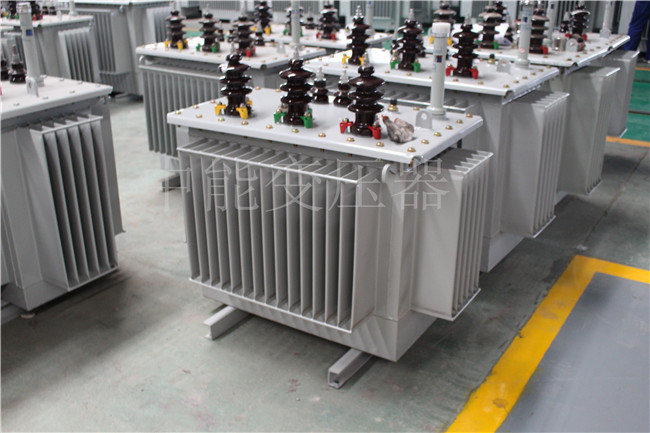 黄石S22-250KVA/10KV变压器